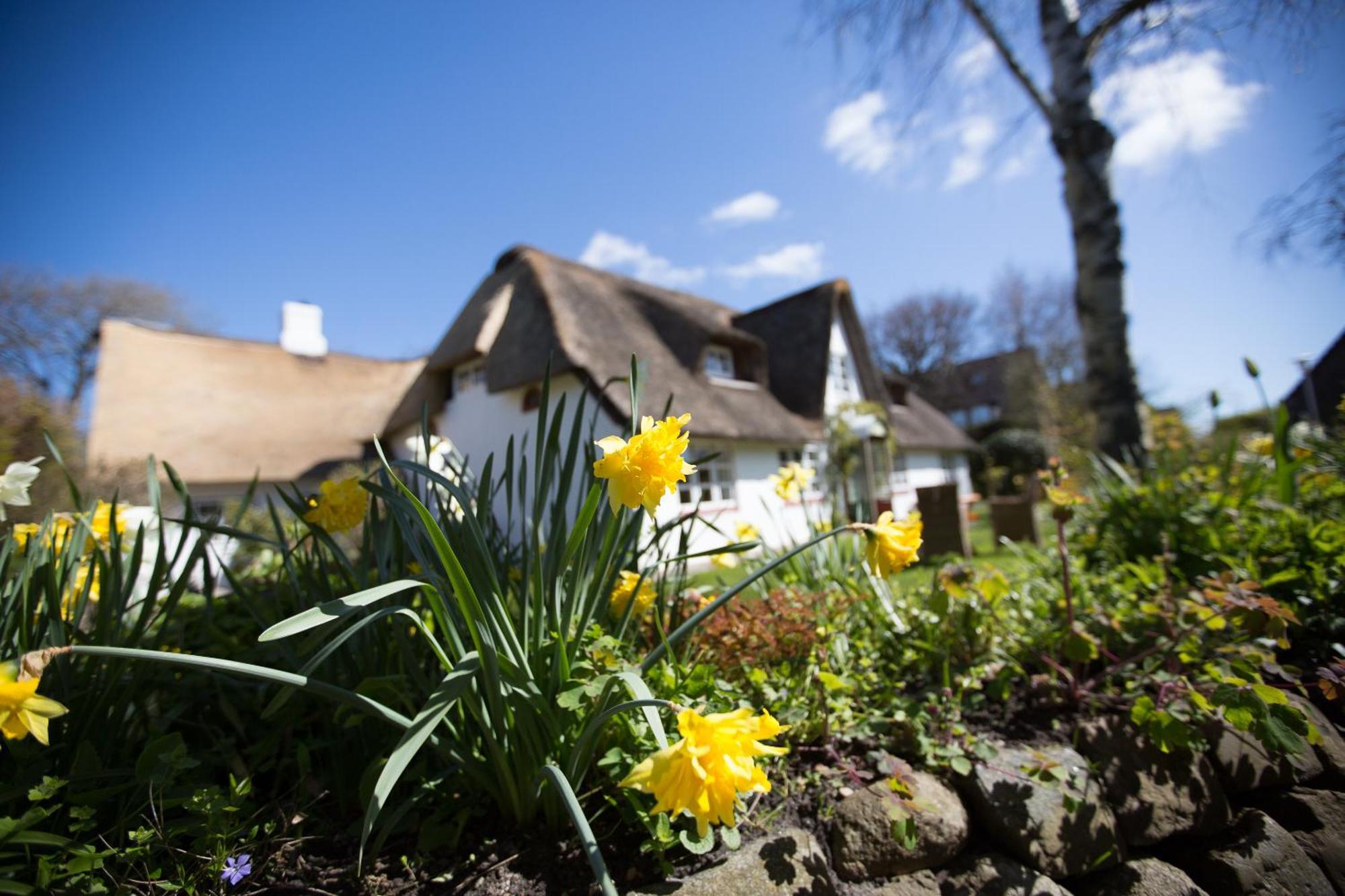 Appartamento Friesenhaus Birkenhof Westerland Esterno foto